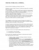 Tercera teoría de la empresa