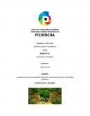 Administración en economía popular y solidaria, micoro y pequeñas empresas
