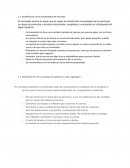 Mercadeo exitoso: identificación de necesidades del mercado y ventajas competitivas