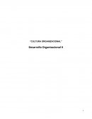 “CULTURA ORGANIZACIONAL” Desarrollo Organizacional II