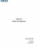 Pauta informe final 4 ideas de posibles negocios innovadores