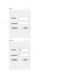 Pia de desarollo visual