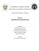 PRÁCTICA. DETERMINACIÓN DE DAÑOS MECÁNICOS