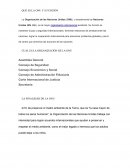 PREGUNTAS SOBRE COMERCIO INTERNACIONAL Y POLITICA INTERNACIONAL. ONU