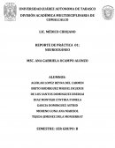 Práctica de neurocraneo