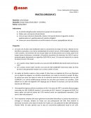 PRACTICA DIRIGIDA N°2