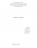 Enfermedades clostridiales
