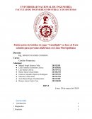 Elaboración de bebidas de jugo “Caimilight” en base al fruto caimito para personas diabéticas