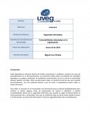 Vulnerabilidades detectadas en la organización