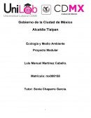 DESARROLLO SUSTENTABLE. Ecología y Medio Ambiente . Proyecto Modular