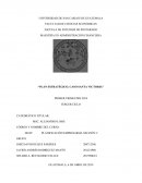 Plan estratégico, Caso Santa Victoria