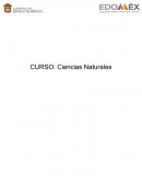 Problematica ambiental de la actividad agraria