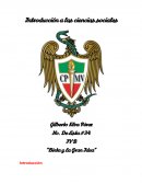 Binta y la gran idea: Educación y desarrollo comunitario