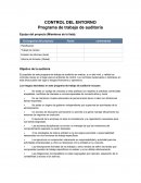 PROGRAMA DE AUDITORIA CONTROL DEL ENTORNO