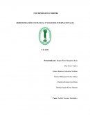 Administración en finanzas y negocios internacionales