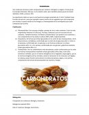 Carbohidratos-Laboratorio