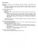 Hematopoyesis. Producción de células sanguíneas