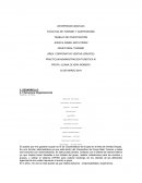 PRACTICUM ADMINISTRACION TURISTICA III