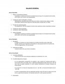 Trabajo Final - PEE Planeamiento Financiero ESAN