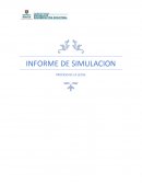 INFORME DE SIMULACION PROCESO DE LA LECHE