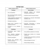 Analisis Foda y Porter Capel