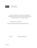 PLAN DE NEGOCIOS PARA LA CONFECCIÓN, DISTRIBUCIÓN Y COMERCIALIZACIÓN DE CALZADO CON SUELA PET ENFOCADO AL MERCADO INFANTIL EN LA CIUDAD DE MEXICO