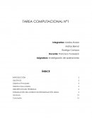 Resolucion computacional