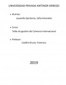 ¿En qué consiste el proyecto Chavimochic?