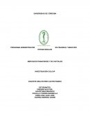 PROGRAMA ADMINISTRACIÓN EN FINANZAS Y NEGOCIOS INTERNACIONALES