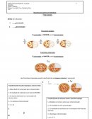 Resumen para certamen de Matemáticas