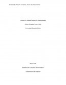 Artículo De Opinión Fuentes De Abastecimiento. Administración de empresas