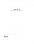 Teoría de la arquitectura