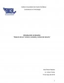 Relación del ser humano, sociedad y cultural del derecho