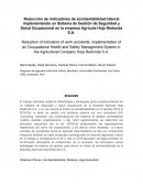 Sistema de Gestión de Seguridad y Salud Ocupacional en la empresa Agrícola Hoja Redonda S.A