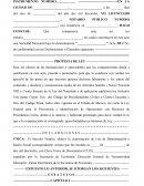 Acta constitutiva sa de cv machote