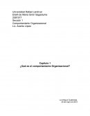 Comportamiento Organizacional . La importancia de las aptitudes interpersonales