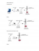 PROCEDIMIENTO Estandarización
