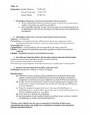 TALLER MERCADEO Empresa – La Panaderia