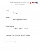 Proyecto de ecología. Bolsas de papel periódico