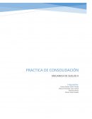 PRACTICA DE CONSOLIDACIÓN