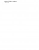 Estudio de los Servicios Municipales en Arequipa, 2018