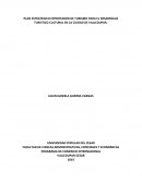 PLAN ESTRATEGICO EXPORTADOR DE TURISMO PARA EL DESARROLLO TURISTICO-CULTURAL EN LA CIUDAD DE VALLEDUPAR