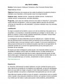 Maltrato animal –Causas del maltrato animal