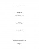 Entornos, estrategias y adaptaciones Empresa: Coca-Cola