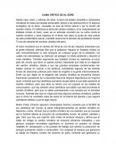 CLIMA CRITICO DE AL GORE