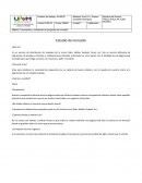 Estudio de mercado de distribución de Sneakers de la marca Nike, Adidas, Reebok, Puma, etc