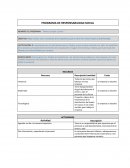 Programa de responsabilidad sociall