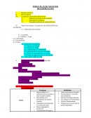 INDICE PLAN DE NEGOCIOS DE EXPORTACION