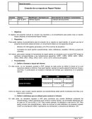 Manual Report Painter - Básico