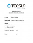 LABORATORIO N°1 PROPIEDADES DE LOS GASES